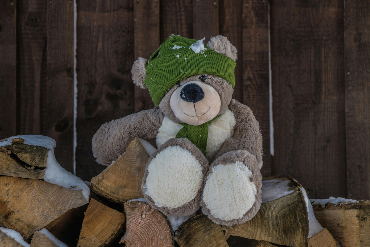 Alter Teddybär aus Stoff