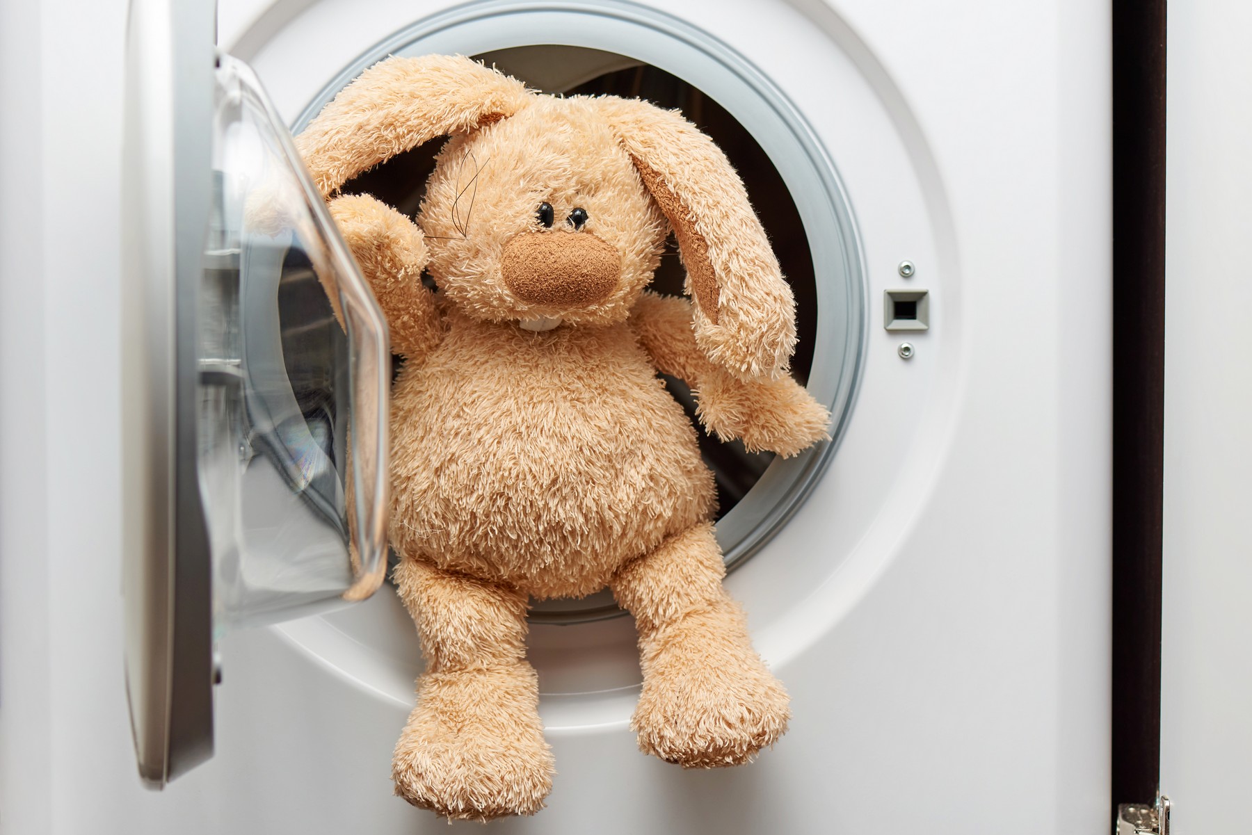 Kuscheltiere richtig waschen – Fehler vermeiden