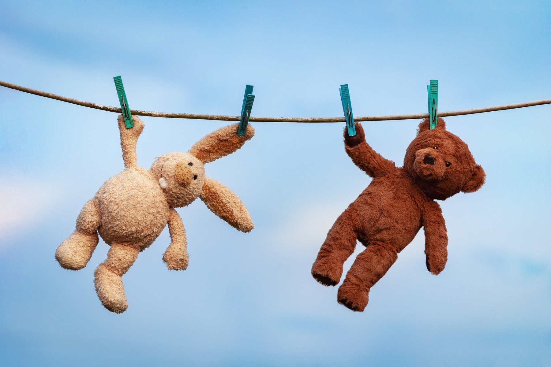 Eingelaufenes Kuscheltier nach zu heißer Wäsche